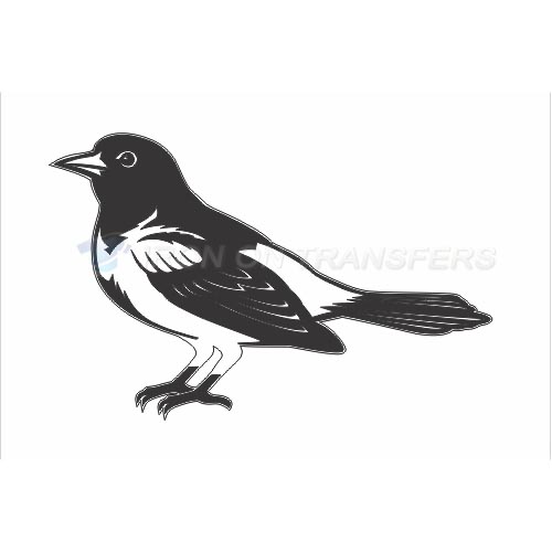 Baltimore Orioles Iron-on Stickers (Heat Transfers)NO.1434